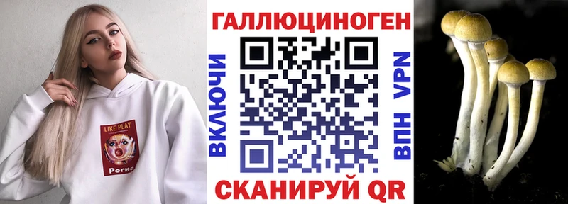 цена   Комсомольск-на-Амуре  Галлюциногенные грибы мицелий 